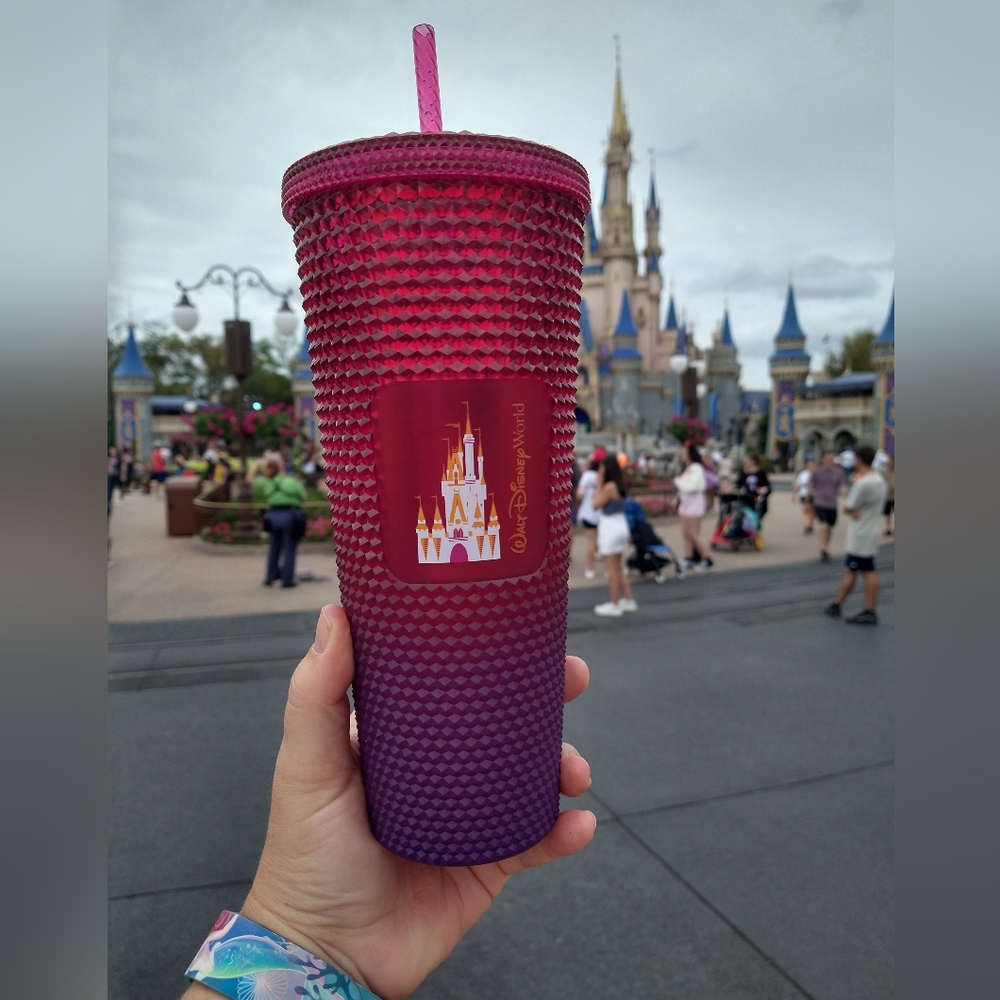 NIB Disney Starbucks Tumbler with Straw- Cinderella Castle Pink Purple Ombre